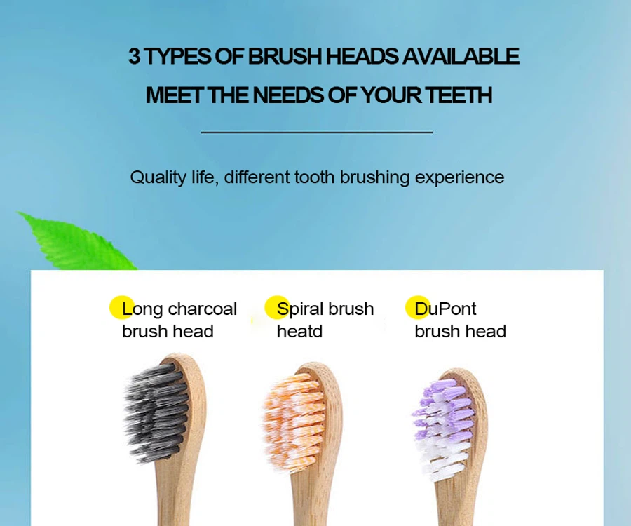 bamboo replaceable head